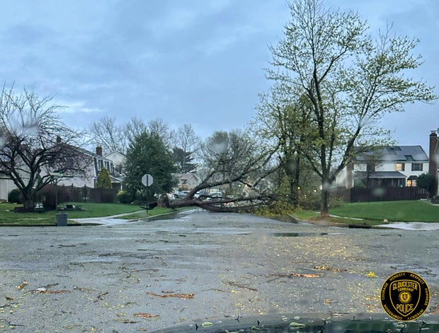gloucester-twp-tree-down.jpg 