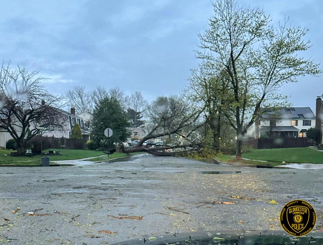 gloucester-twp-tree-down.jpg 