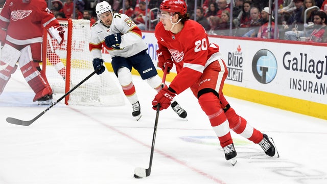 Panthers Red Wings Hockey