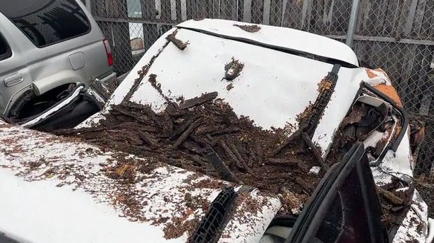 smushed-car.png 