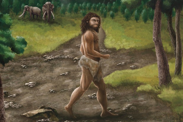 Human Ancestor-Taiwan 