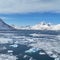 Inside Greenland: residents say they're not for sale, but they are open for business