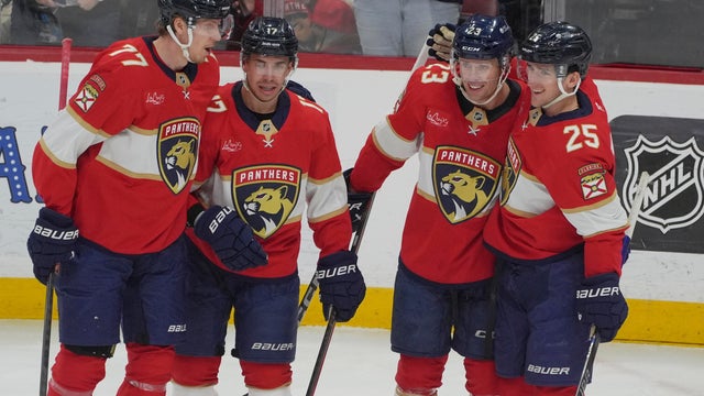 Sabres Panthers Hockey