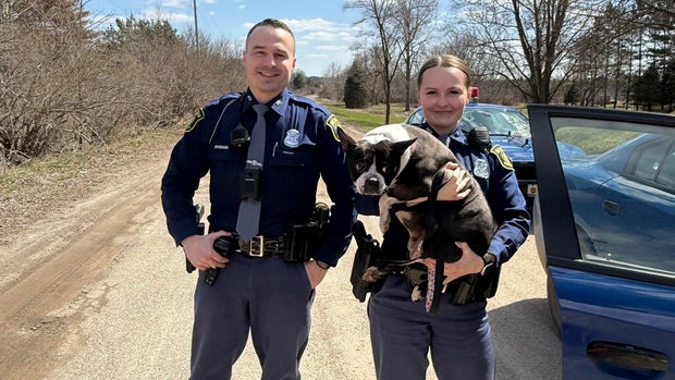 puppy-rescue-b.jpg 