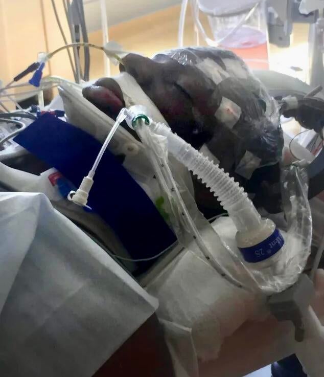 Freddie Gray died in April 2015 after being injured while in the custody of Baltimore Police.