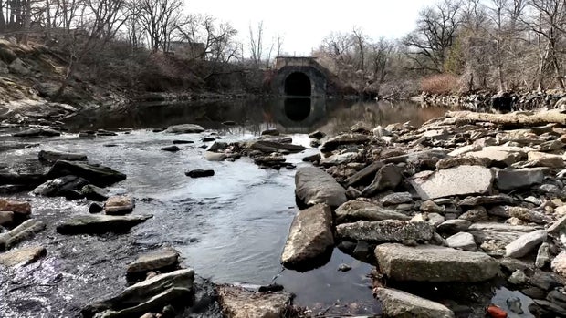 Water flows steadily along the area where the Frankford and Tacony Creeks meet. Outfall T14 can be seen in the background. 