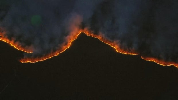 Fire line from Jones Road Wildfire in Ocean County, New Jersey 