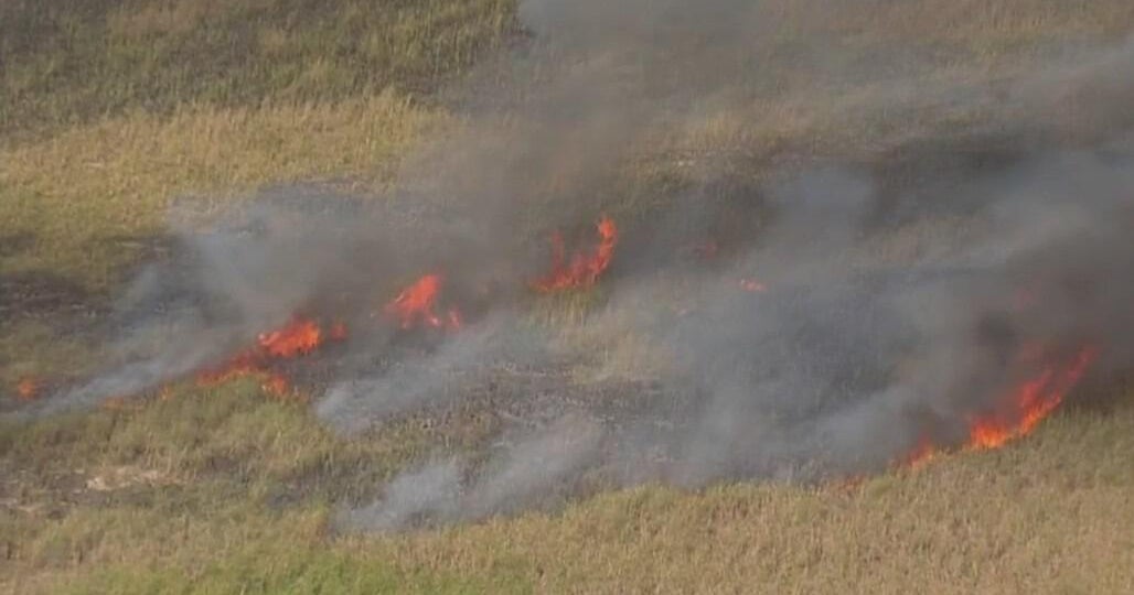 Western Broward brush fire burns 700 acres