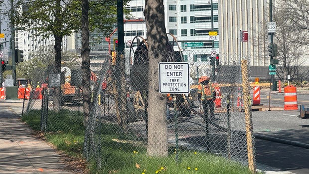 construction-zone-fence.jpg 