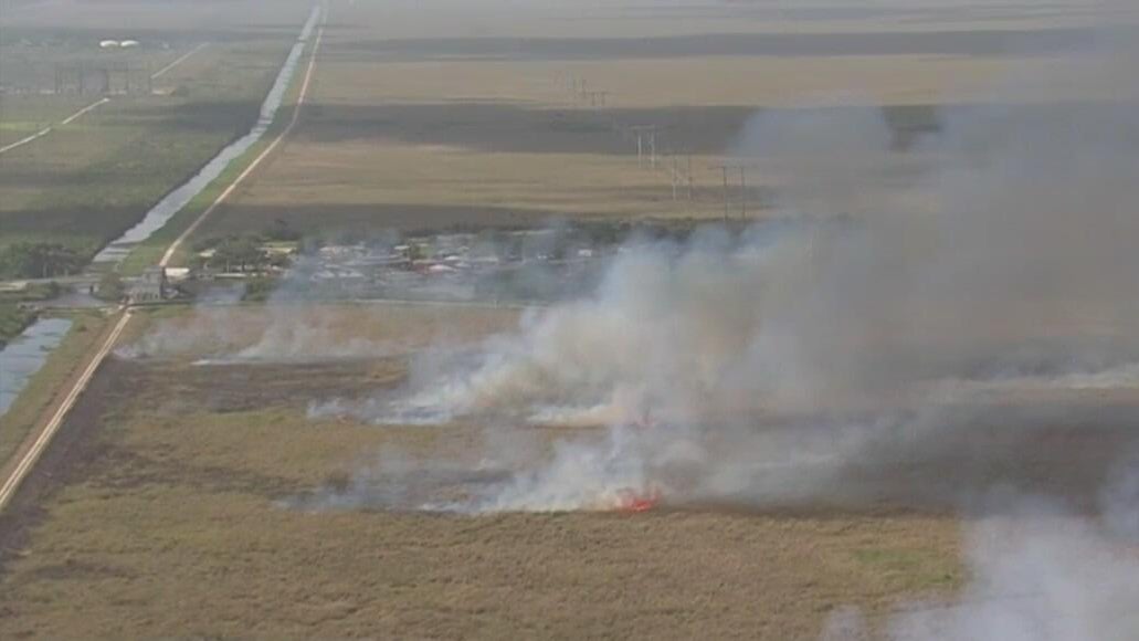 Brush Fire news - Today’s latest updates - CBS Miami