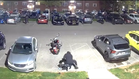 hatfield-assault-still-photo-1.png 