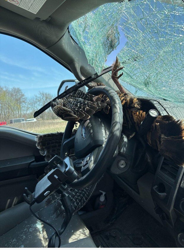 car-v-turkey.jpg 