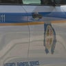 Incarcerated man identified as suspect in Baltimore County 1981 murder 