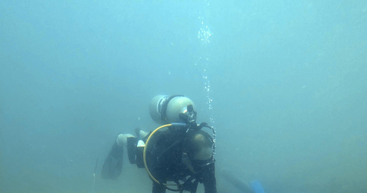 Danimarkalı köle gemileri enkaz Kosta Rika sahilinde bulundu, Müze onayladı