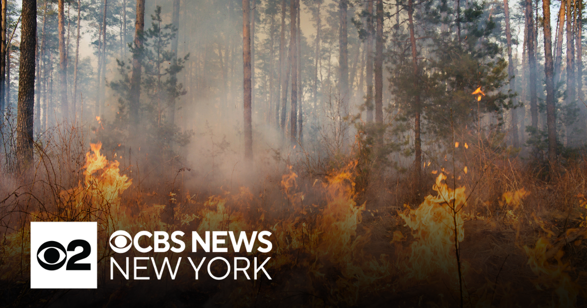 Firefighter efforts battling Jones Road wildfire - CBS New York