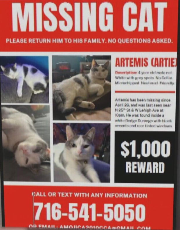 A poster that says MISSING CAT, Please return him to his family, no questions asked, $1,000 reward, 716-541-5050 