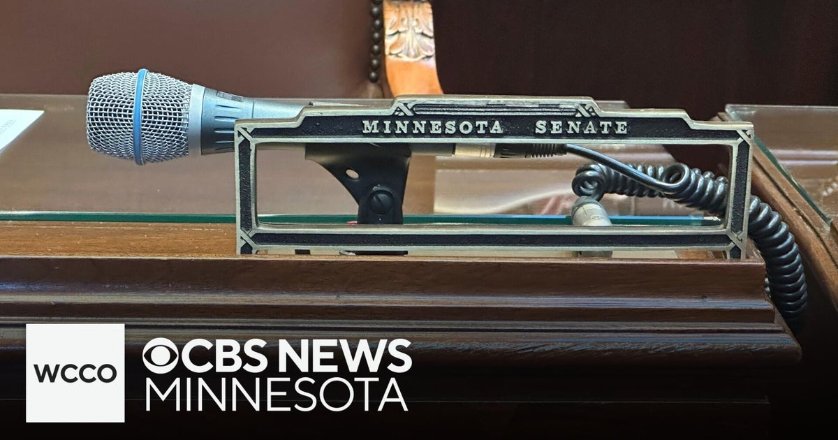 Minnesota District 6 Holds Special Senate Election