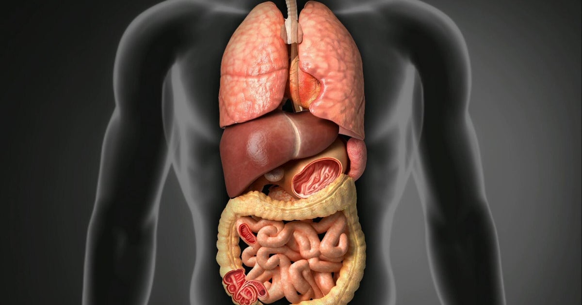 Ozempic and Wegovy ingredient may reverse liver disease