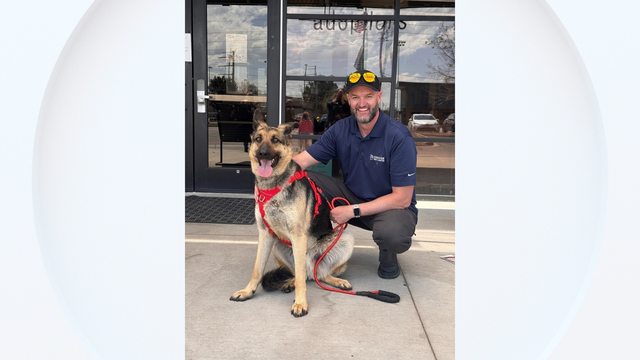 stray-dog-park-hill-adopted-by-denver-parks-and-rec.png 