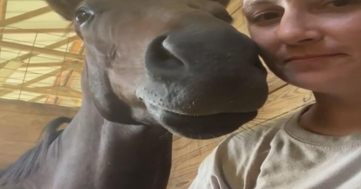 Kentucky Derby horses racing Saturday include one raised by woman from Massachusetts