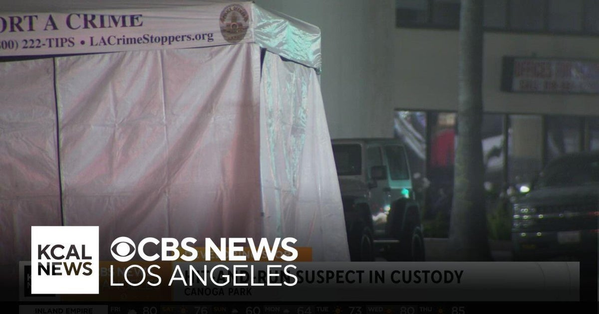 Driver in custody after Canoga Park deadly hit-and-run - CBS Los Angeles