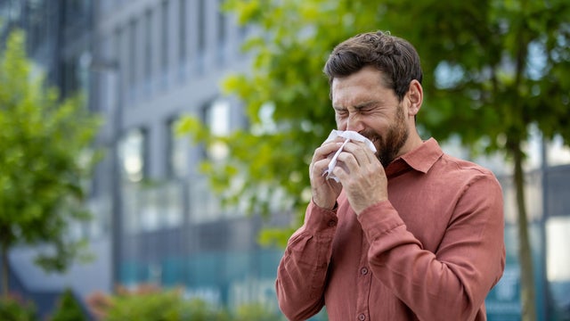 Mature man sneezing in urban environment captured in clear focus, surrounded by greenery and modern architecture, evokes feelings of discomfort and seasonal allergies on city streets 