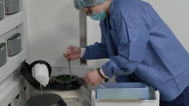 Egg freezing 