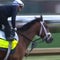 2025 Kentucky Derby horses to watch for