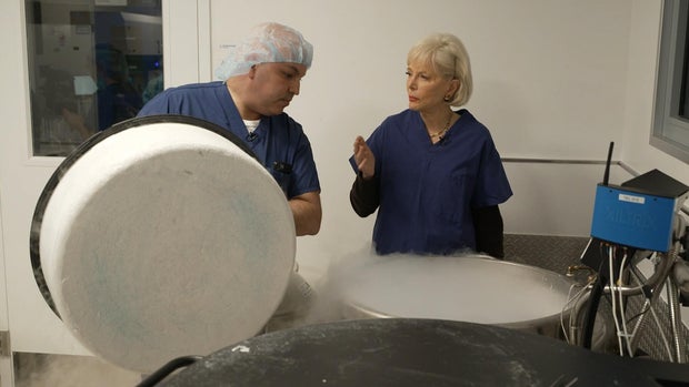 The ins and outs of egg freezing, from how the process works to how much it costs The ins and outs of egg freezing, from how the process works to how much it costs