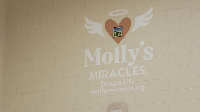 donate-life-mural-raw-kh-01-concatenated-095316-frame-5012.jpg 