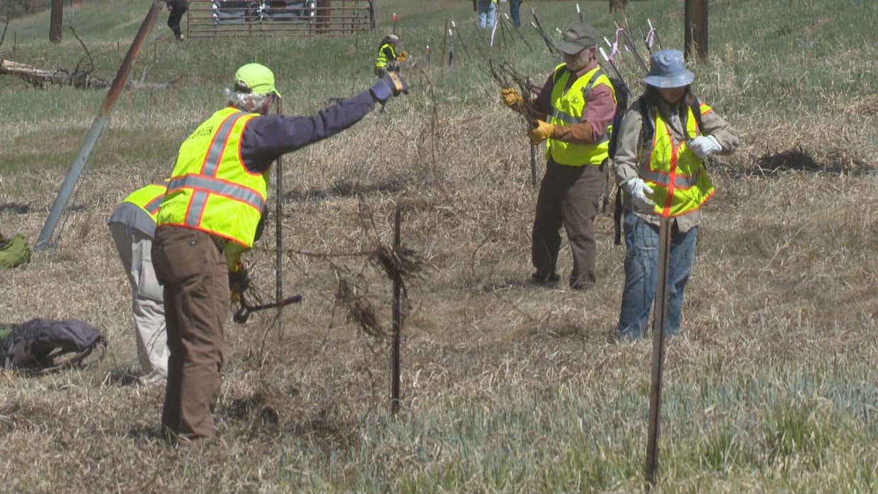 Barbed wire from defunct cattle ranch causing problems in Colorado open ...