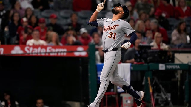 Tigers Angels Baseball 