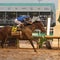 Sovereignty wins the 151st running of the Kentucky Derby