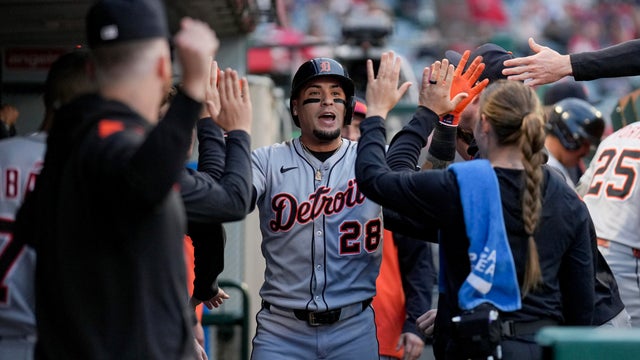Tigers Angels Baseball 