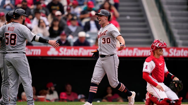 Tigers Angels Baseball 