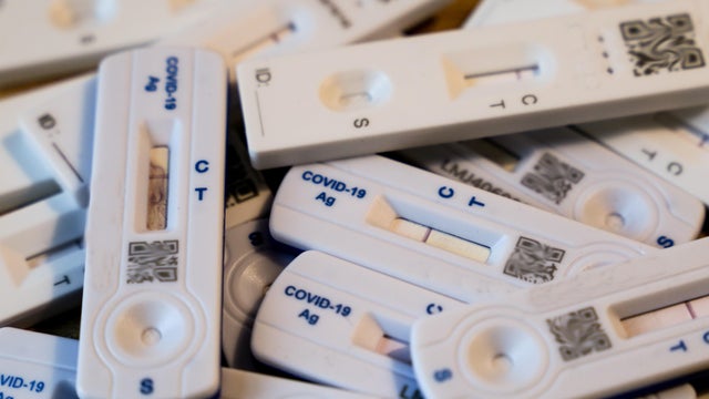 Lateral Flow Tests 