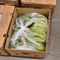 Massive stash of cocaine found hidden in bananas — again