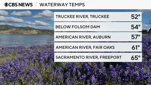 local-water-temps.png 