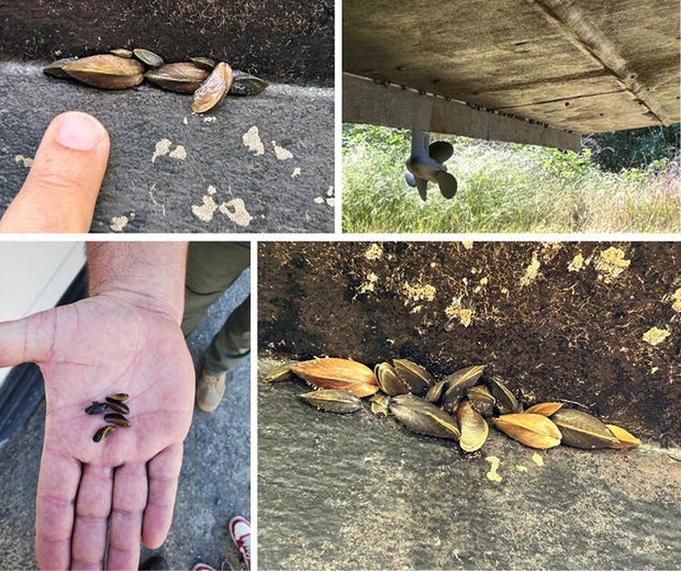 boat-with-mussels-ca-state-parks.jpg