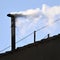 Watch Live: White smoke from conclave signals a new pope is chosen