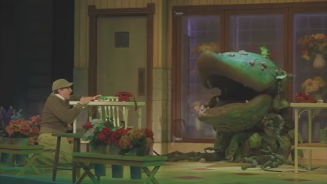 little-shop-of-horrors2.png 