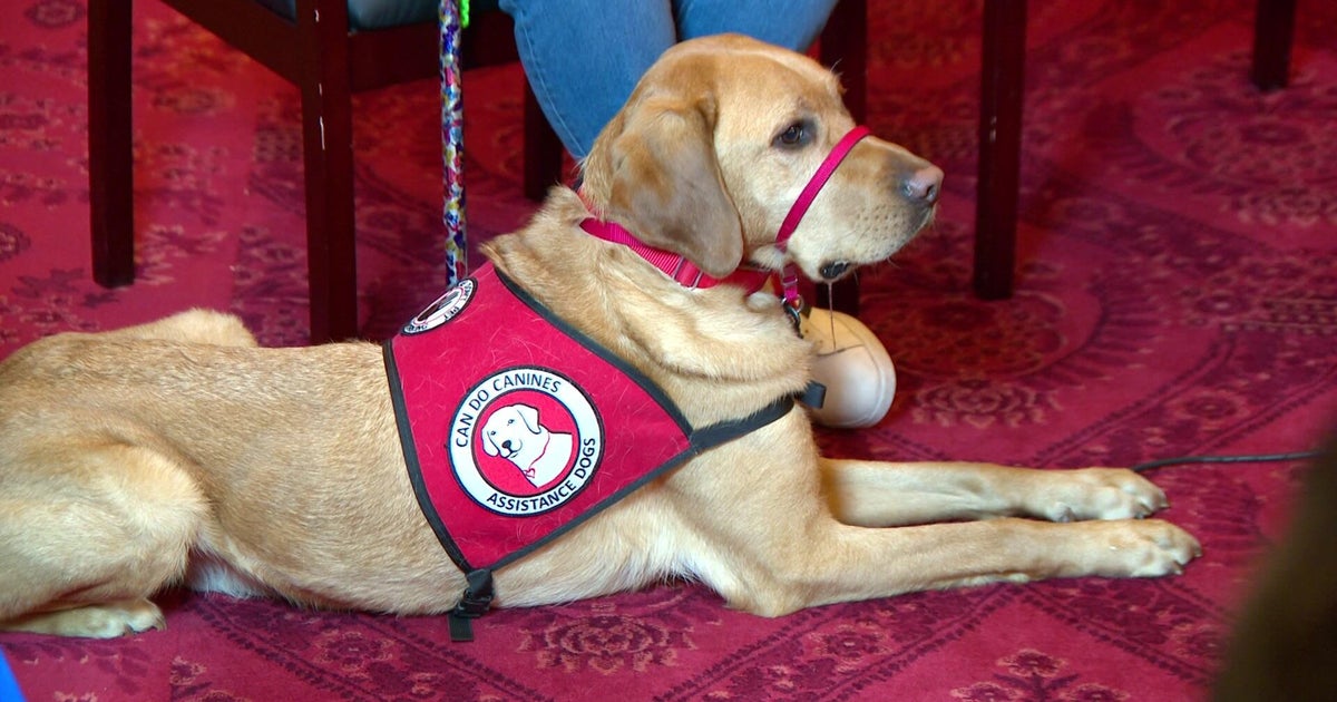 Walz signs bill expanding protections for trainers of service dogs