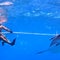 Never Too Late: New Jersey man conquers fears by going open water shark diving