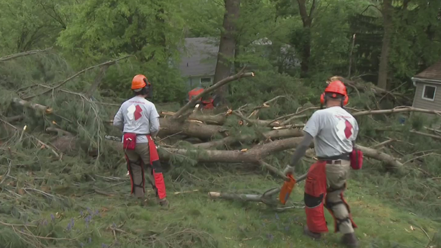 teamrubicon.png 