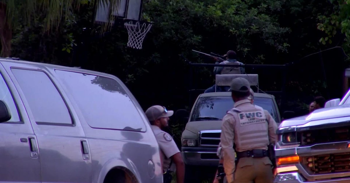 Lab tests connect black bear killed by Florida wildlife officers to fatal attack on man and his dog Lab tests connect black bear killed by Florida wildlife officers to fatal attack on man and his dog