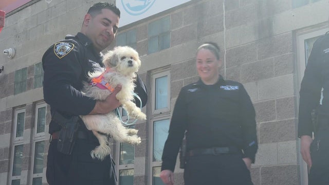 NYPD Officer Jared Desalvo holds a small white dog. 