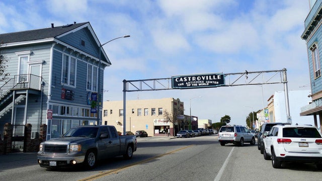 castroville-1247324863.jpg 