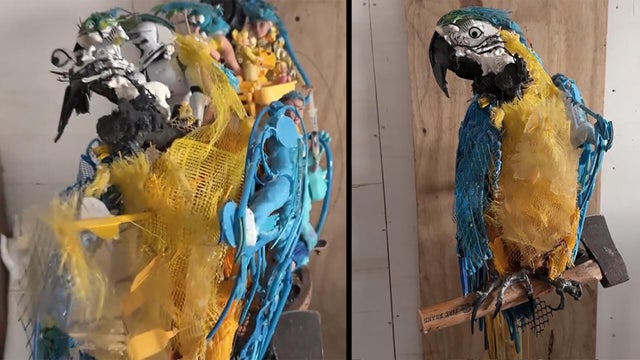 trash-to-art-1920.jpg 