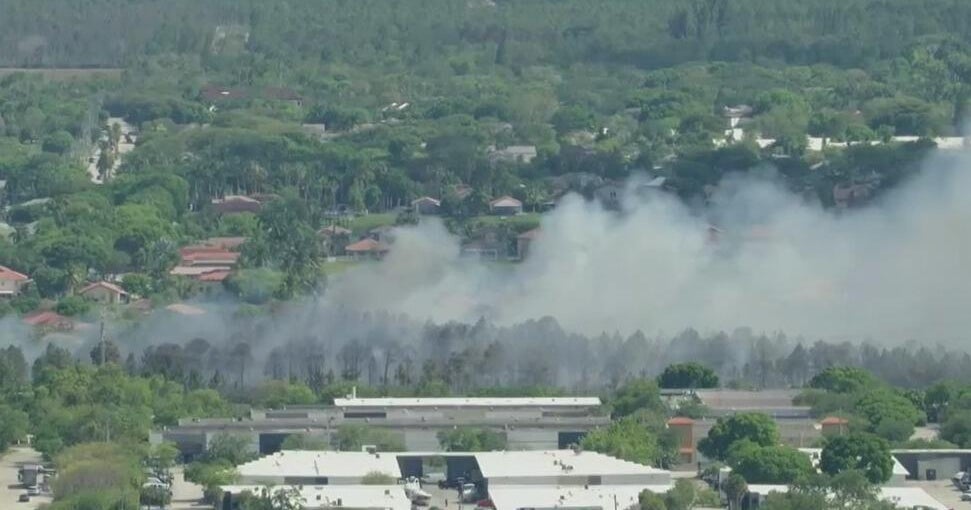 Grass fire continues to burn in West Kendall - CBS Miami