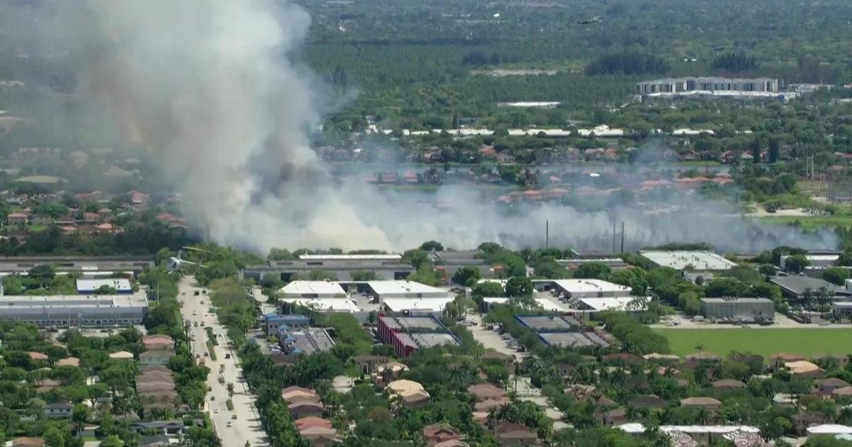 Firefighters contain SW Miami-Dade grass fire near Miami Executive Airport, officials say Firefighters contain SW Miami-Dade grass fire near Miami Executive Airport, officials say